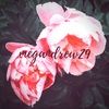 megandrew29